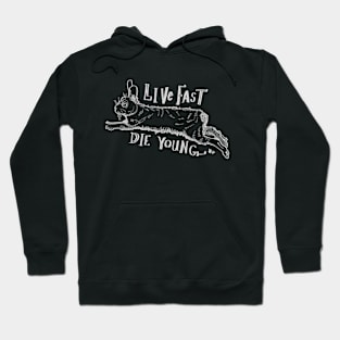 "Live Fast; Die Young" rabbit Hoodie